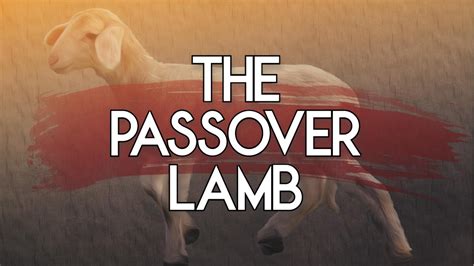 The Passover Lamb Watts In The Word