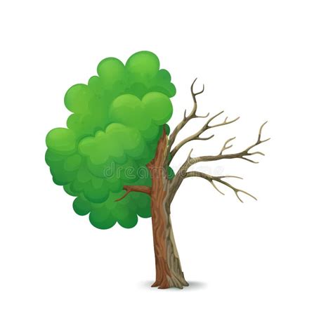 Cartoon Green Tree Isolated On White. Stock Vector - Illustration of ...