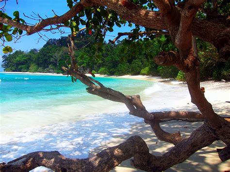 Havelock Island Andaman Swaraj Dweep India Holiday