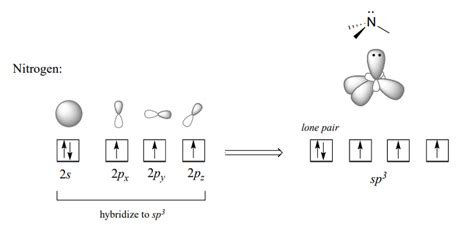 9.2: Overview of Phosphate Groups - Chemistry LibreTexts