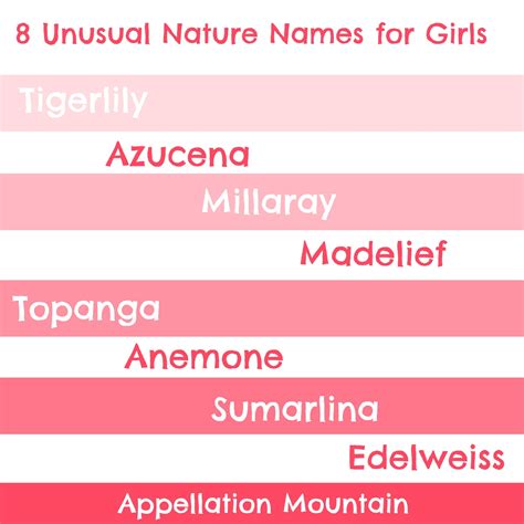 Unusual Baby Names: The Craziest Ever Covered at AppMtn - Appellation ...