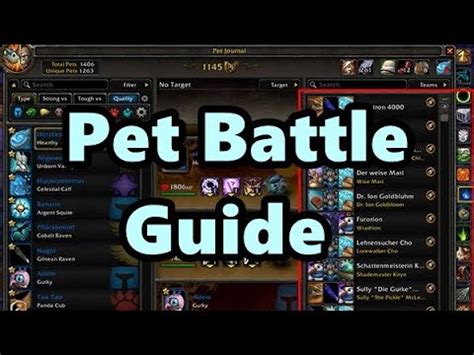 How To Pet Battle In World Of Warcraft The Ultimate Guide Time