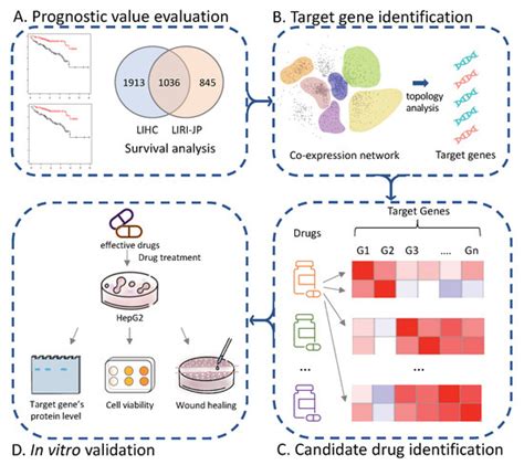 Cancers Free Full Text A Gene Co Expression Network Based Drug