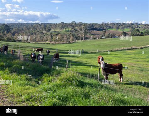 Rural australian house hi-res stock photography and images - Alamy