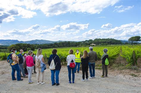 La Delegaci Del Coib A L Anoia Visita Les Vinyes Del Celler Pla De Morei