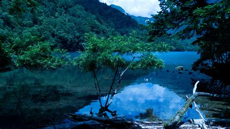 Nikk National Park In The Kant Region On The Main Island Of Honsh In