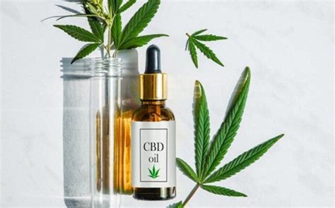 Les Avantages De Lhuile De Cbd Quand L Information Est Gratuite Et