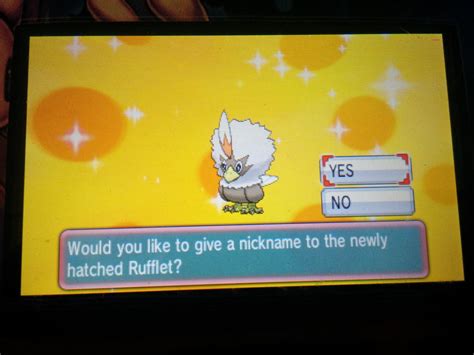 Shiny Rufflet by SiilverBolt on DeviantArt