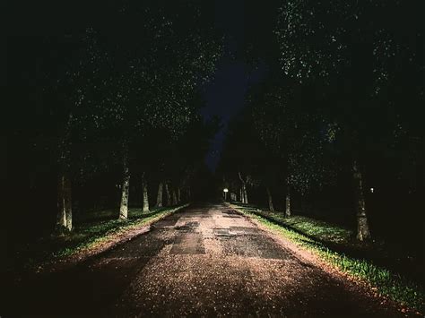 HD wallpaper: road, night, roadtrip, trees, nature, dark, travel ...