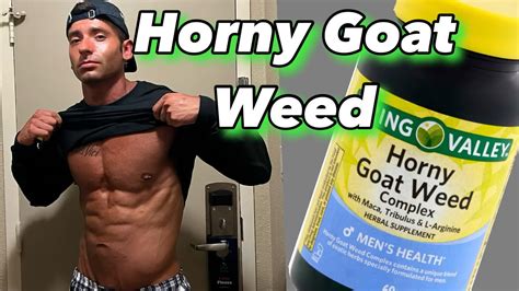 Horny Goat Weed For Libido Fully Explained Youtube