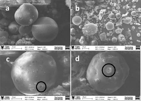 -Scanning electron microscopy images for FA obtained at different ... 