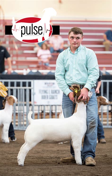 National Junior Boer Goat Show Jabga Commerical Doe Show