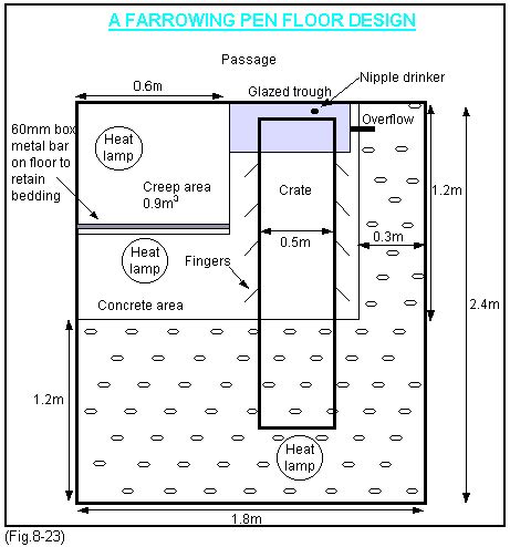 Farrowing house design | The Pig Site