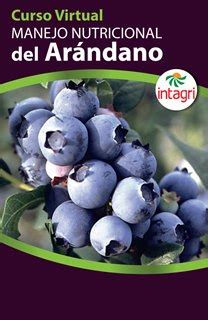 Curso virtual Manejo Nutricional del Arándano Inicio Intagri S C