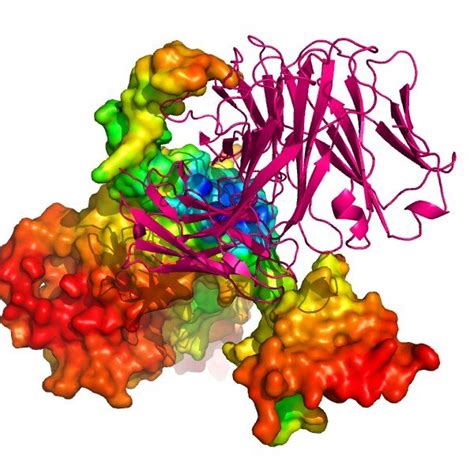 Comparing binding sites of the same ligand on two different models of ...