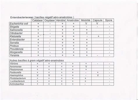 résumé des caractères biochimiques des entérobactéries et autres