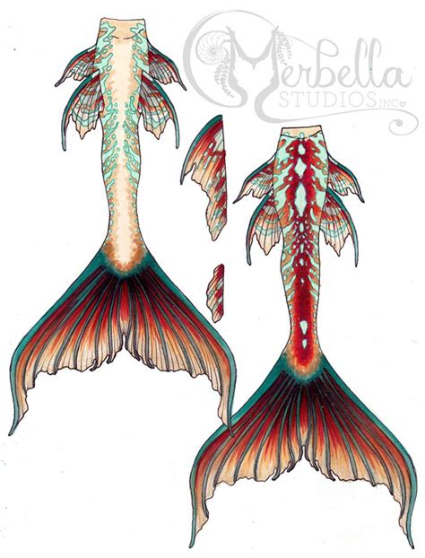 Mermaid Tail Design Sketch By Merbellas On Deviantart