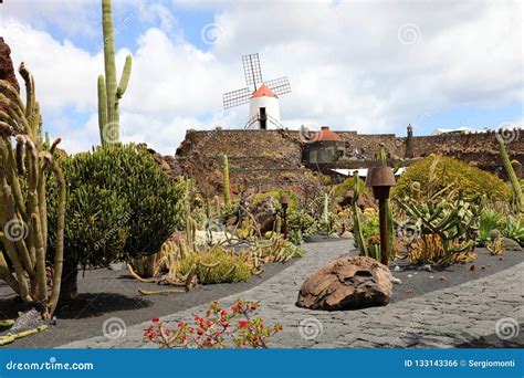 Cactus Garden on Lanzarote Island that Was Designed by Cesar Man Stock ...