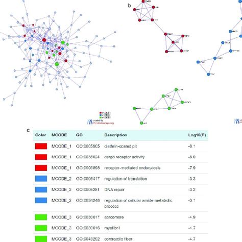 Construction Of Protein Protein Interactions Ppi Network A Ppi