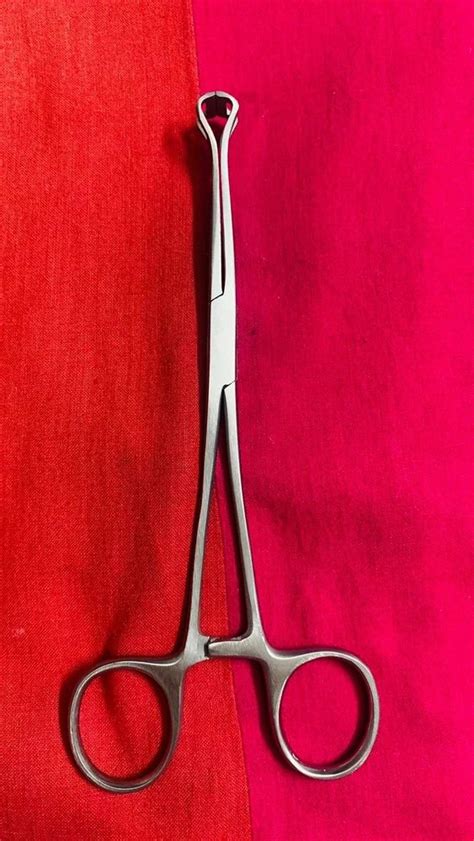 Stainless Steel Dull Finish Inch Babcock Tissue Forcep Size Dimension