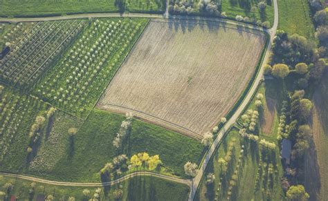 Nachhaltige Bioökonomie INZIN Institut