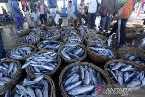 Dinas Perikanan Karawang Kembangkan Kampung Pengolahan Ikan Pindang Di