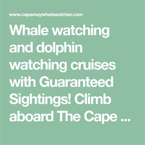 Whale Watching And Dolphin Watching Cruises With Guaranteed Sightings