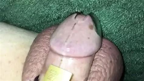 Caged Sub Cum Humiliation Gay Couple Couple Porn Xhamster