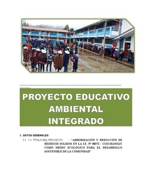 Proyecto Educativo Ambiental Integrado Pdf Sustentabilidad