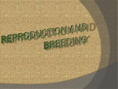 Ppt Reproduction And Breeding Powerpoint Presentation Free Download