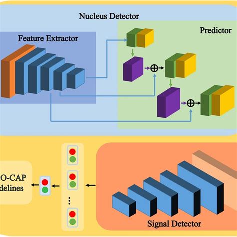 Pipeline Of The Aitrox AI Model For The Automatic Detection Of HER2