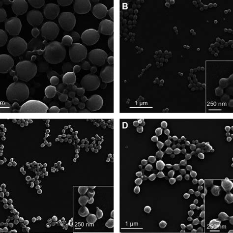 Sem And Tem Images Of Plga Nanoparticles Produced By Microchannel