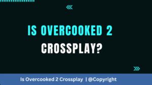 Is Overcooked 2 Cross-platform?