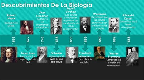 Linea De Tiempo Genetica Celula Biologia Udocz Images 64660 Hot Sex