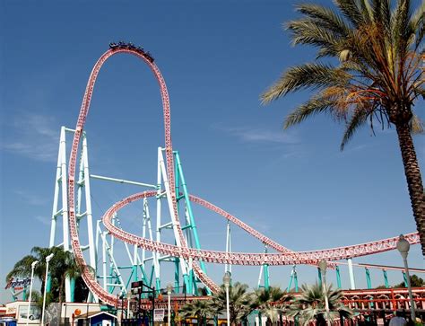 Griffon Busch Gardens Drop Height - Beautiful Insanity