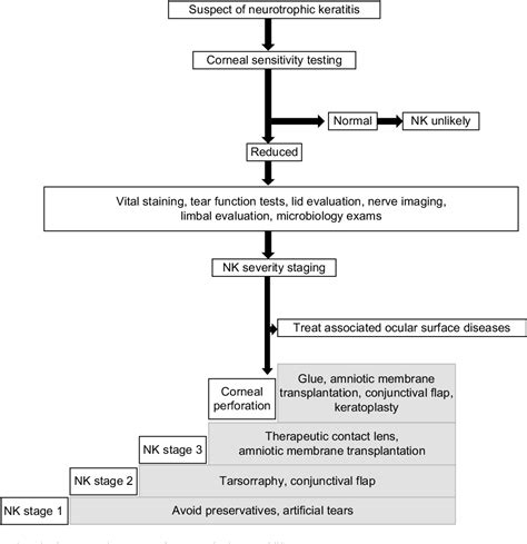 Figure 2 From Diagnosis And Management Of Neurotrophic Keratitis Semantic Scholar