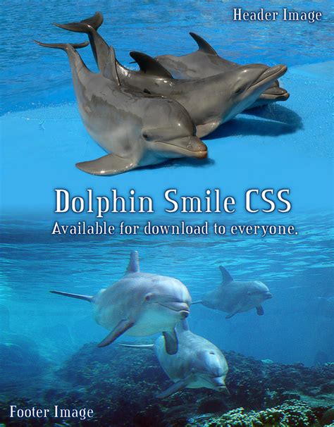 Dolphin Smile Journal CSS by Aryenne on DeviantArt