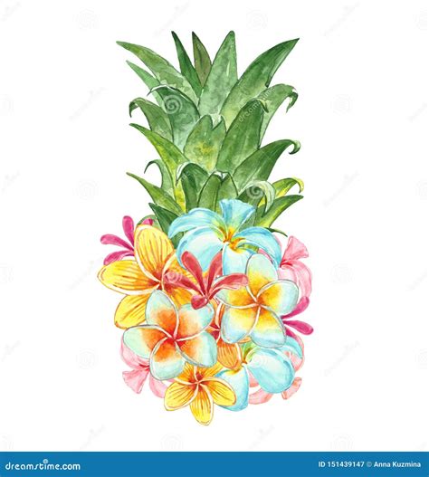 Watercolor Summer Fresh Pineapple Fruit Isolated Tropical Flowers