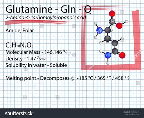 Glutamine Gln Q Amino Acid Molecular Stock Vector (Royalty Free ...