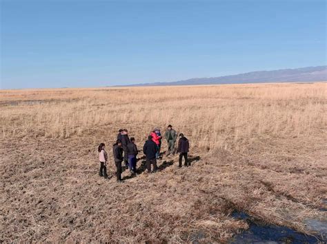 ФОТО Хар ус нуур орчмын экосистемийг хамгаалах цогц ажлыг эхлүүллээ