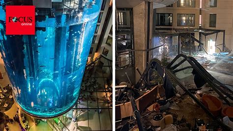 Riesiges Aquarium In Berliner Hotel Geplatzt Fast Alle Fische Tot