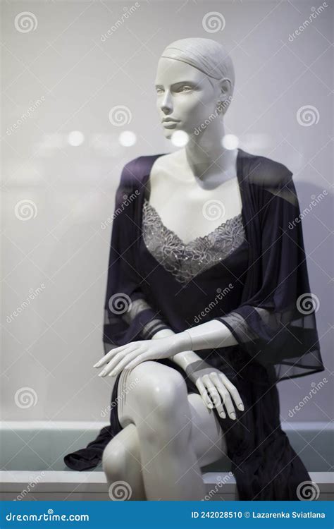 Belle Femme Mannequin En Lingerie Photo stock Image du objet élégance 242028510