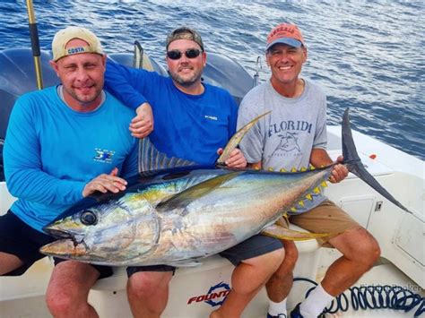 Albacore Vs Yellowfin Tuna An Easy Guide Gary Spivack