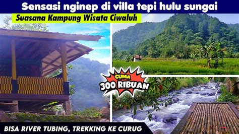 Villa Dibawah 500 Ribu Pinggir Sungai Di Bogor Kampung Wisata Ciwaluh