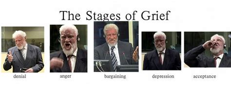 5 stages of grief : r/dankmemes