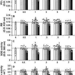 Phenoloxidase PO Activity A Respiratory Bursts RBs B