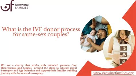 PPT What Is The IVF Donor Process For Same Sex Couples PowerPoint