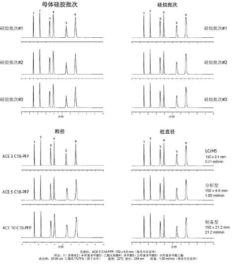 Ace C18 Pfp色谱柱介绍Ⅵ 有保证的可重现性和完全可扩展性生物器材网