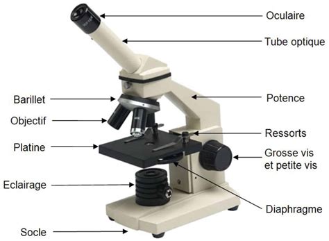 Guide Dachat Choisir Le Bon Microscope