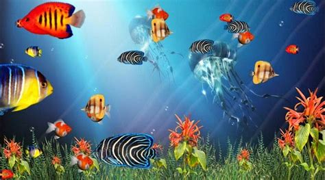 Softek IT Consult: Tropical Fish 3D Screensaver v1.2 + Serial